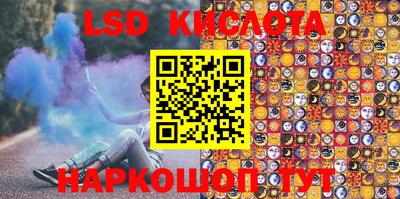 крисы Бийск