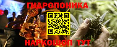 крисы Бийск