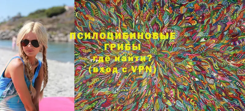 Псилоцибиновые грибы Magic Shrooms  Вязьма 