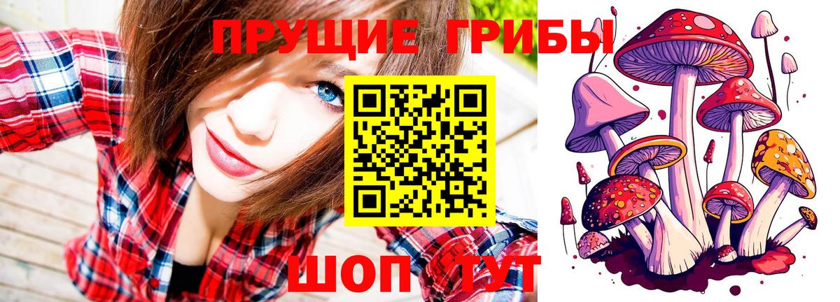 Псилоцибиновые грибы Psilocybine cubensis  Вход с VPN  Вязьма 