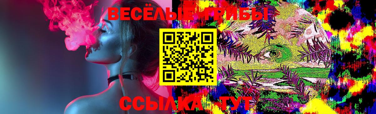 Галлюциногенные грибы MAGIC MUSHROOMS Вязьма