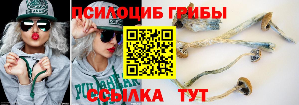 Псилоцибиновые грибы MAGIC MUSHROOMS  Вязьма 