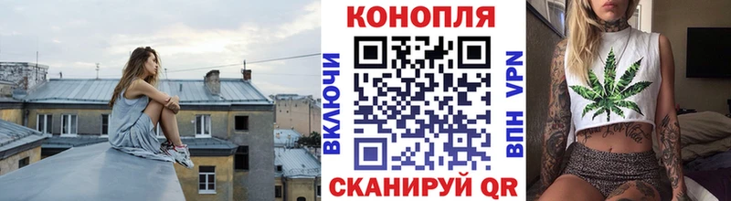 Бошки Шишки VHQ Вязьма